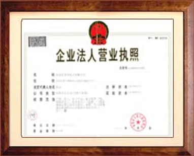 China — Enterprise Business Licence — Smart Group G4