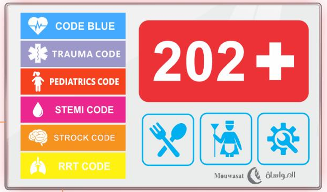 Smart Hospital room door display panel showing emergency codes — Code Blue (blue), Trauma Code (purple), Pediatrics Code (orange), STEMI Code (pink), Strock Code (grey), RRT Code (yellow) with room number 202+ and self-service icons for F&B, housekeeping, and maintenance