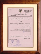 Smart Group G4 official product registration certificate — Kuwait, 2008